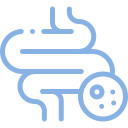 Fungerande metabolism